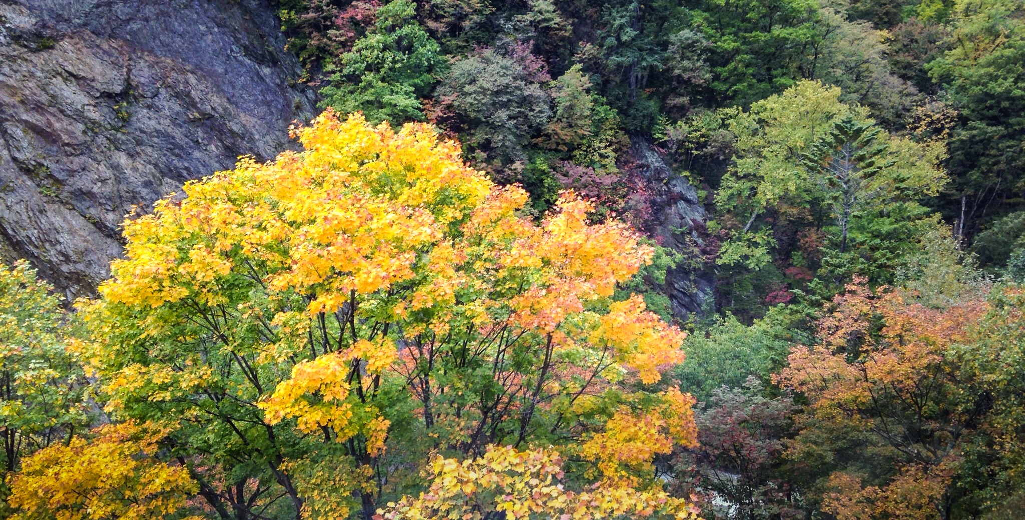 How to Visit a Japanese Onsen (Hot Spring Spa)