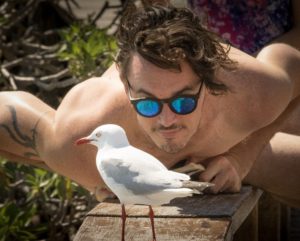 Silver Gull.