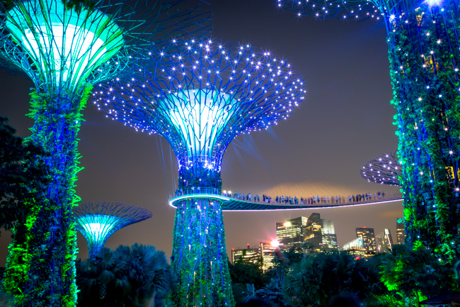 Super Trees